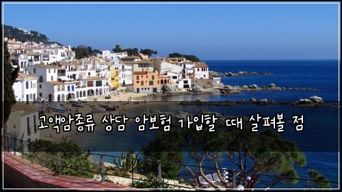 고액암종류 상담 암보험 가입할 때 살펴볼 점