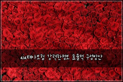 aia태아보험 강력한정보  효율적 구성방안