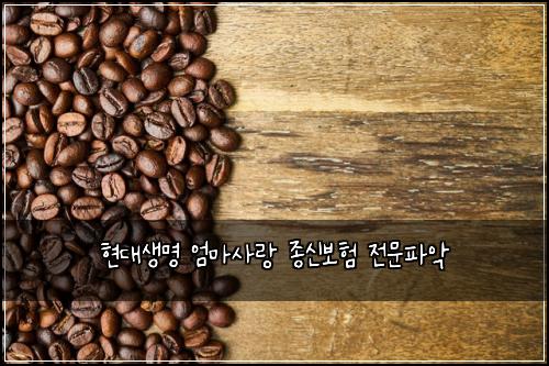 현대생명 엄마사랑 종신보험 전문파악 