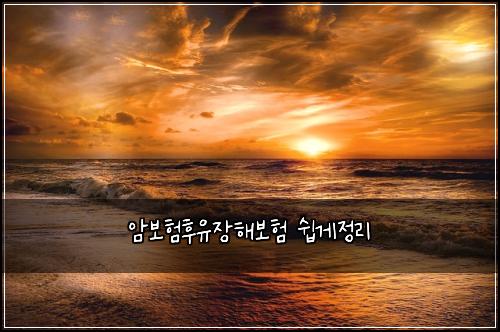 암보험후유장해보험 쉽게정리