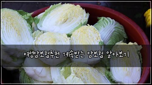 μ¬μ±μ보νμΆμ² κ³μλ°λ μ보ν μμ보기