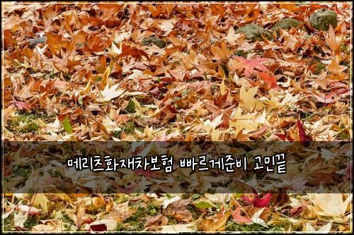 ๋ฉ๋ฆฌ์ธ ํ์ฌ์ฐจ๋ณดํ ๋น ๋ฅด๊ฒ์ค๋น ๊ณ ๋ฏผ๋
