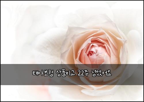 태아보험 상품비교  22주 넘었어요
