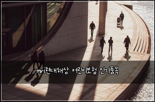 mri현대해상 어린이보험 인기품목 
