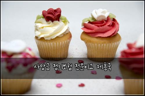 사망금 정기보험 전문비교  제흥국