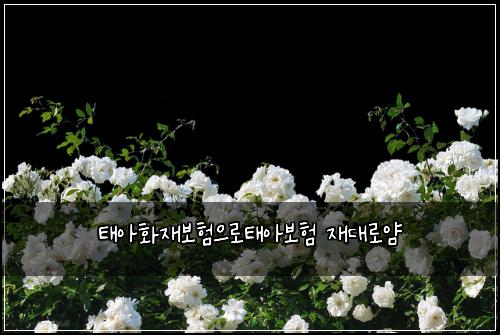 ํ์ํ์ฌ๋ณดํ์ผ๋กํ์๋ณดํ ์ฌ๋๋ก์