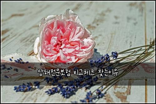 상해전문보험 비교체크  찾는이유