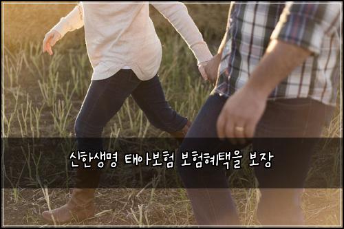 ์ ํ์๋ช
ํ์๋ณดํ ๋ณดํํํ์ ๋ณด์ฅ