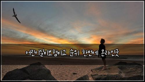 어린이실비보험비교 순위 한번에 온라인굿