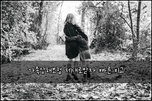 가족상해보험 제대로받자  빠른 비교