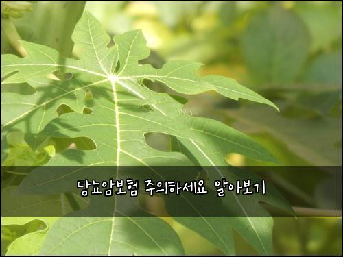 ๋น๋จ์๋ณดํ ์ฃผ์ํ์ธ์ ์์๋ณด๊ธฐ