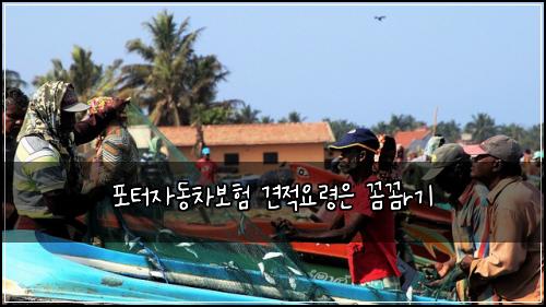 포터자동차보험 견적요령은  꼼꼼r기