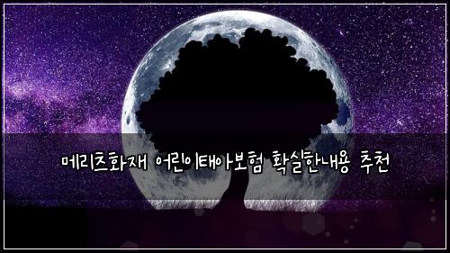 ๋ฉ๋ฆฌ์ธ ํ์ฌ ์ด๋ฆฐ์ดํ์๋ณดํ ํ์คํ๋ด์ฉ ์ถ์ฒ