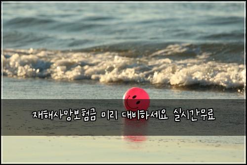 ์ฌํด์ฌ๋ง๋ณดํ๊ธ ๋ฏธ๋ฆฌ ๋๋นํ์ธ์ ์ค์๊ฐ๋ฌด๋ฃ