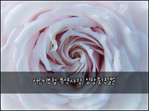 어린이보험 특약사항  심장중격결손