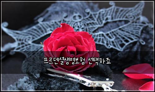 프르덴셜생명보험 선택하죠 