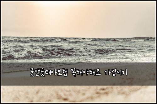 굿앤굿태아보험 꼭해야해요  가입시기