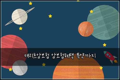 ๋งค๋ฆฌ์ธ ์๋ณดํ ์๋ณดํํํ ํน์ฝ๊น์ง