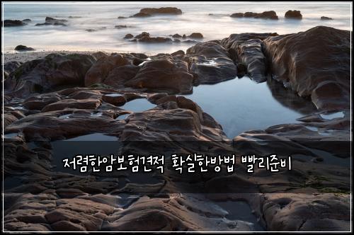 ์ ๋ ดํ์๋ณดํ๊ฒฌ์ ํ์คํ๋ฐฉ๋ฒ ๋นจ๋ฆฌ์ค๋น
