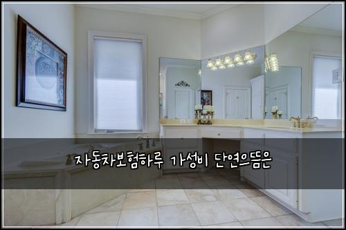 자동차보험하루 가성비 단연으뜸은