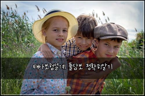 ํ์๋ณดํ์ค๊ณ ํ๋ด๋ณด ์ ํํ์๊ธฐ