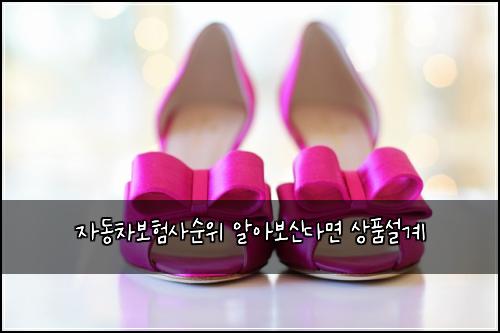 ์๋์ฐจ๋ณดํ์ฌ์์ ์์๋ณด์ ๋ค๋ฉด ์ํ์ค๊ณ