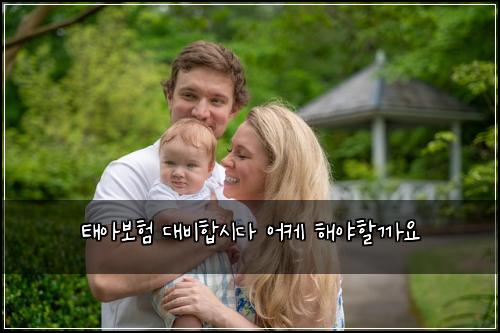 태아보험 대비합시다  어케 해야할까요