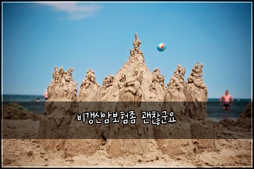 비갱신암보험좀 괜찮군요