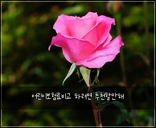 ์ด๋ฆฐ์ด๋ณดํ๋ฃ๋น๊ต ํ๋ ค๋ฉด ์ถ์ฒํ ๋งํด