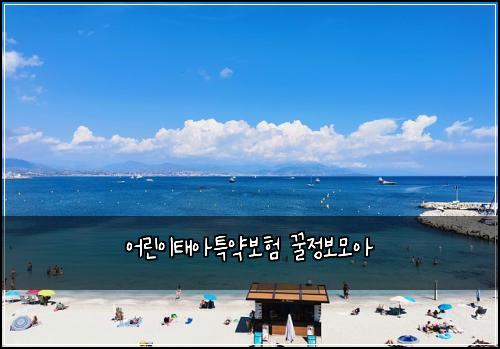 μ΄λ¦°μ΄νμνΉμ½λ³΄ν κΏμ 보λͺ¨μ