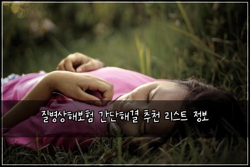 질병상해보험 간단해결  추천 리스트 정보