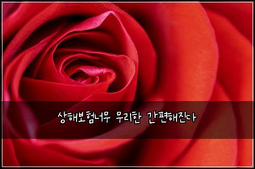 상해보험너무 무리한 간편해진다