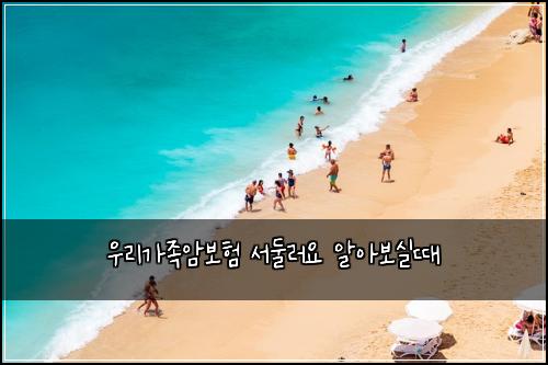 우리가족암보험 서둘러요  알아보실때
