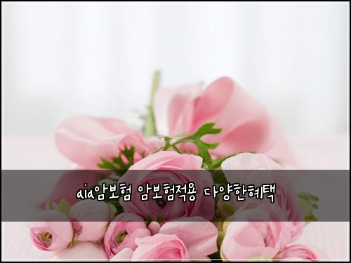 aia์๋ณดํ ์๋ณดํ์ ์ฉ ๋ค์ํํํ