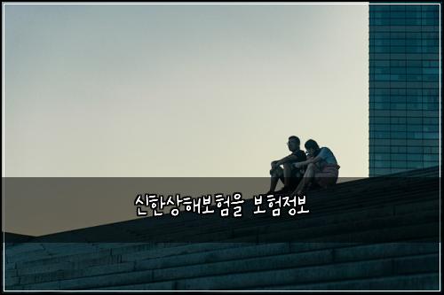 신한상해보험을 보험정보