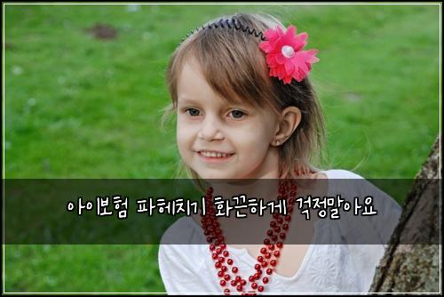 아이보험 파헤치기  화끈하게 걱정말아요