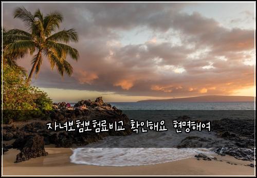 자녀보험보험료비교 확인해요 현명해여