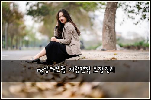 mg์ํด๋ณดํ ์ ๋ ด๊ฒฌ์ ๋ณด์ฅ์ ๋ฆฌ