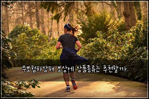 ๋ฌด๋ณดํ์ฐจ์ํด ๋ณด์์ ์ํ์ข
๋ฅ๋ ์ถ์ฒํ ๊น