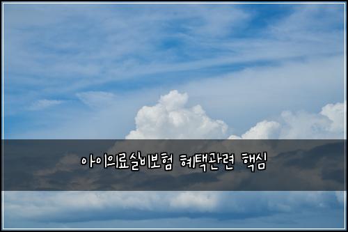 ์์ด์๋ฃ์ค๋น๋ณดํ ํํ๊ด๋ จ ํต์ฌ