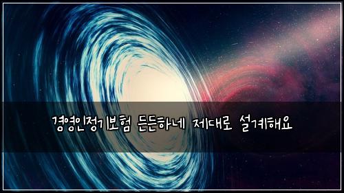 경영인정기보험 든든하네  제대로 설계해요