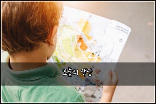 오늘의 색상