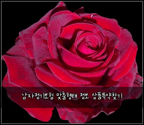 남자정기보험 맞춤형태  정보 상품특약찾기