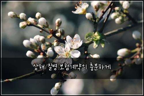상해 질병 보험계약의 충분하게