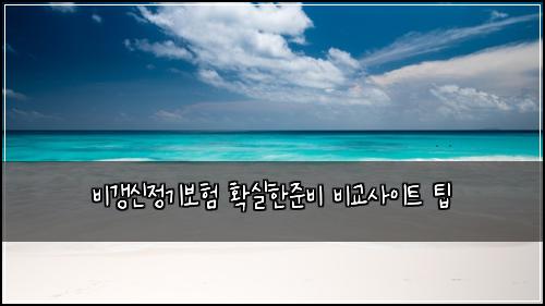 비갱신정기보험 확실한준비  비교사이트 팁