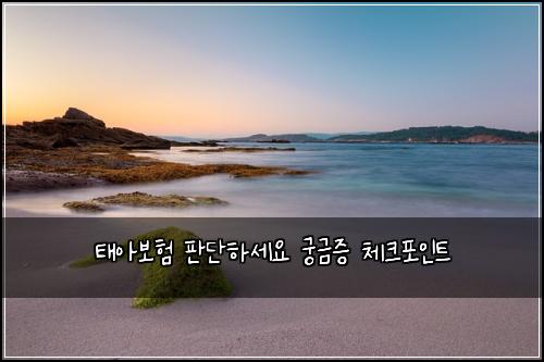 ํ์๋ณดํ ํ๋จํ์ธ์ ๊ถ๊ธ์ฆ ์ฒดํฌํฌ์ธํธ