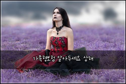 가족형보험 알아두세요  상해