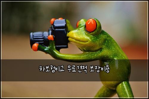 ์ฐจ๋ณดํ๋น๊ต ๋ฌด๋ฃ๊ฒฌ์ ๋ณด์ฅ๋น์ฉ