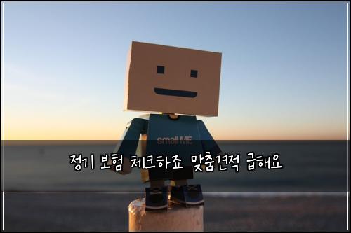 ์ ๊ธฐ ๋ณดํ ์ฒดํฌํ์ฃ ๋ง์ถค๊ฒฌ์ ๊ธํด์