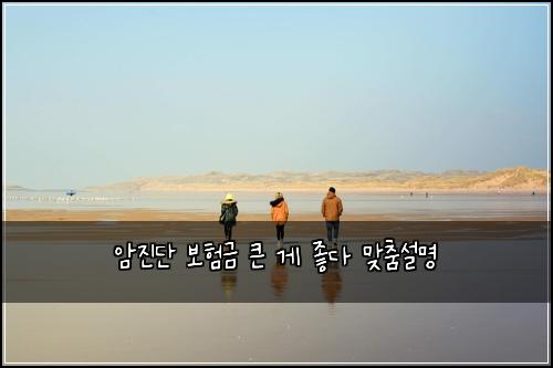 암진단 보험금 큰 게 좋다 맞춤설명